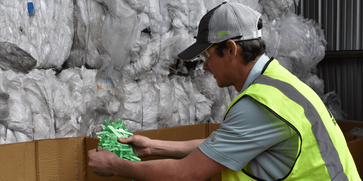 Employee at FV Recycling separating cardboard and mixed recyclables to improve material grading and recycling value.