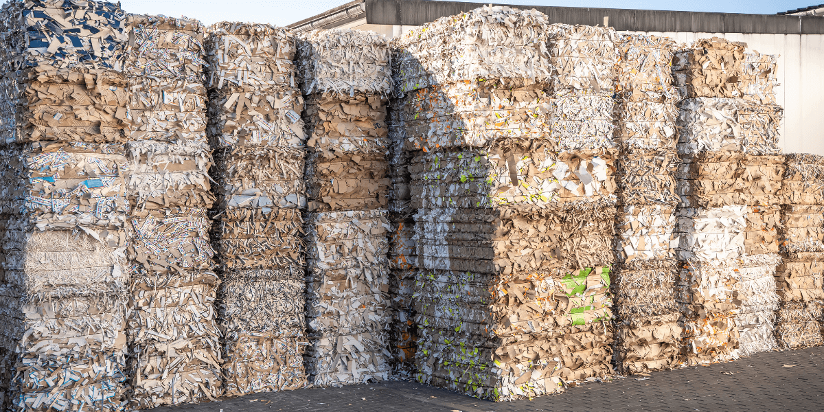 Large stacks of baled cardboard held together with baler wire.